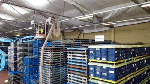 stofdicht dak renoveren